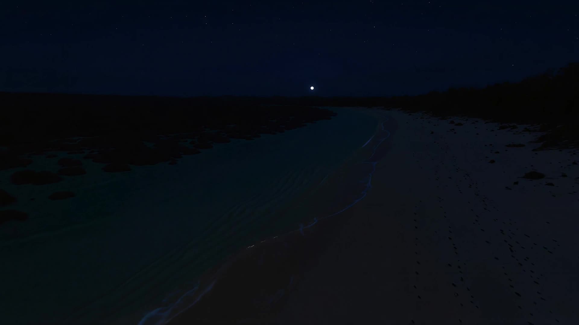 Aerial along coastline, slow forward drift (night)