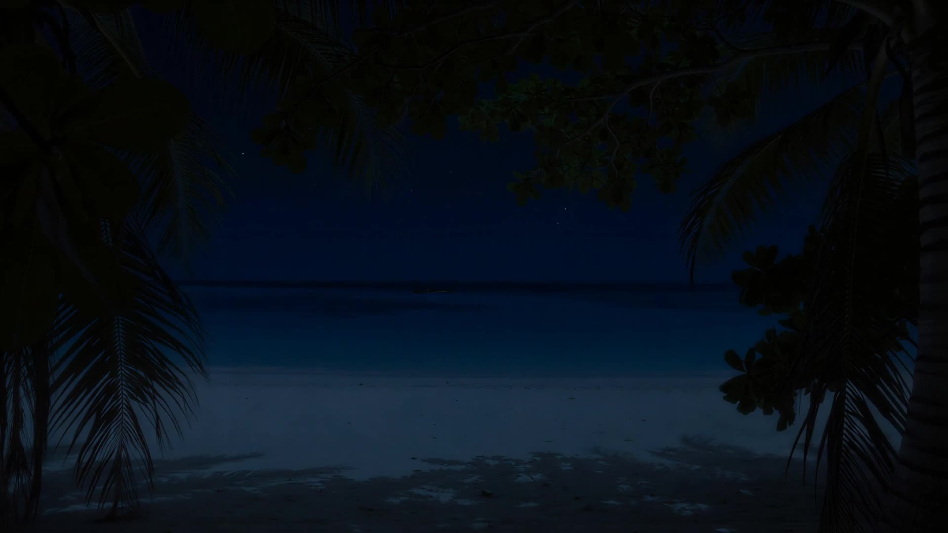 Palm leaves over beach, gentle sway (night)