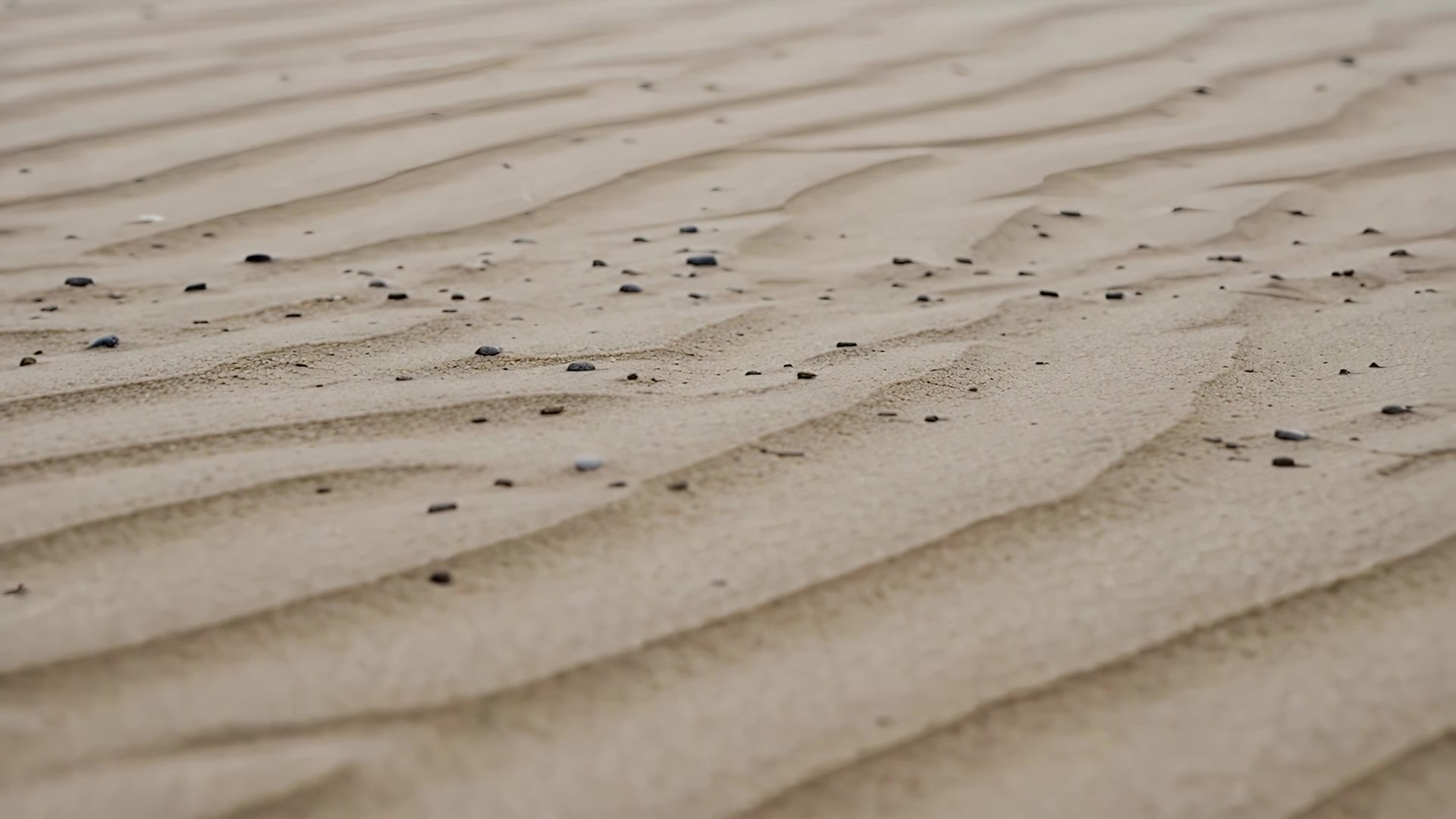 Rippled sand in low side light, day version