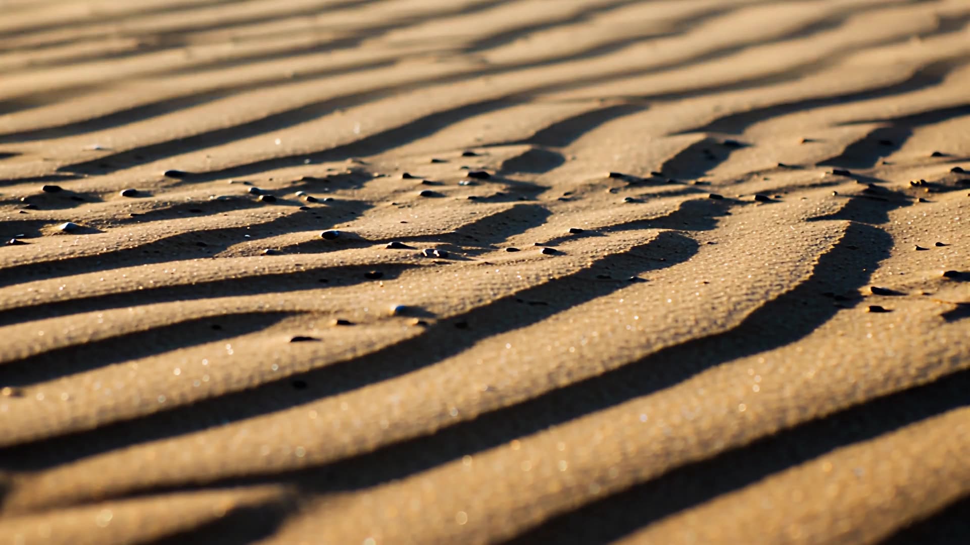 Rippled sand in low side light