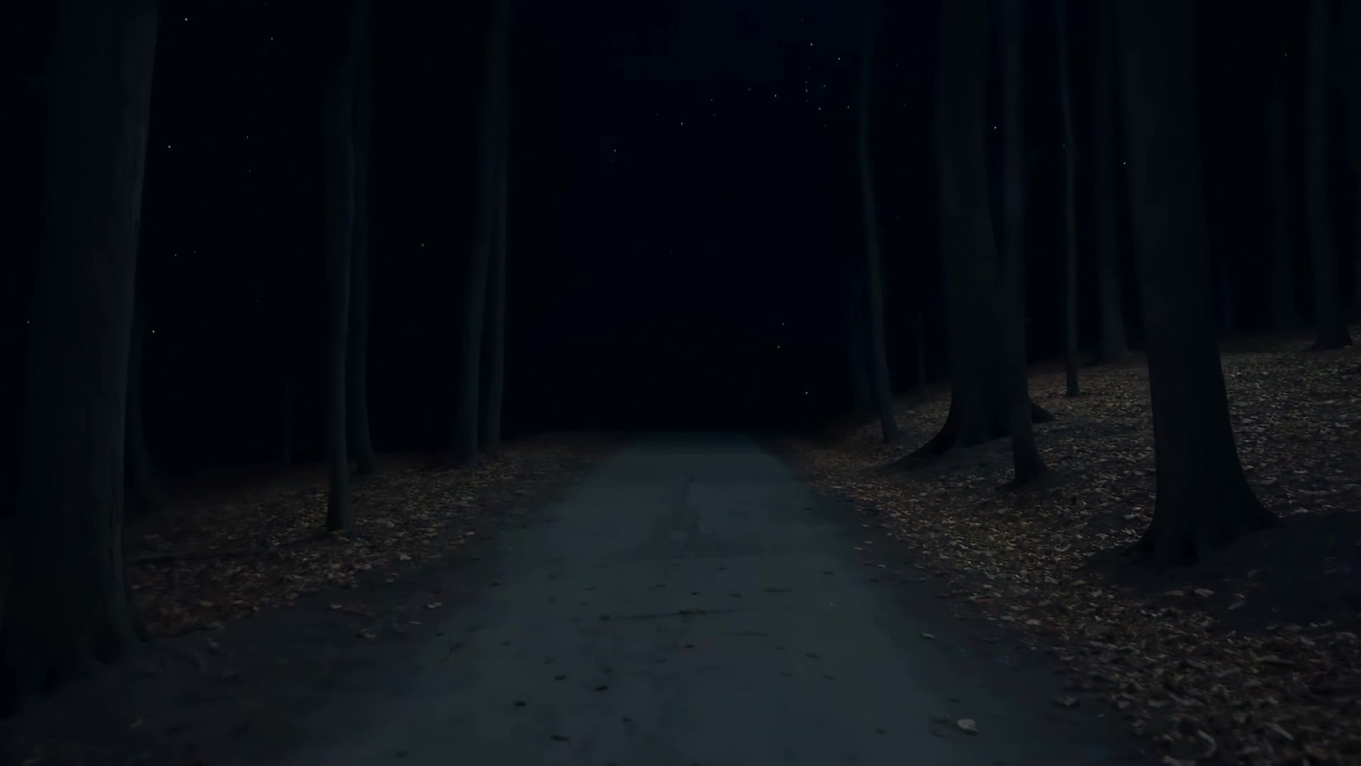 Tree-lined forest path (night)