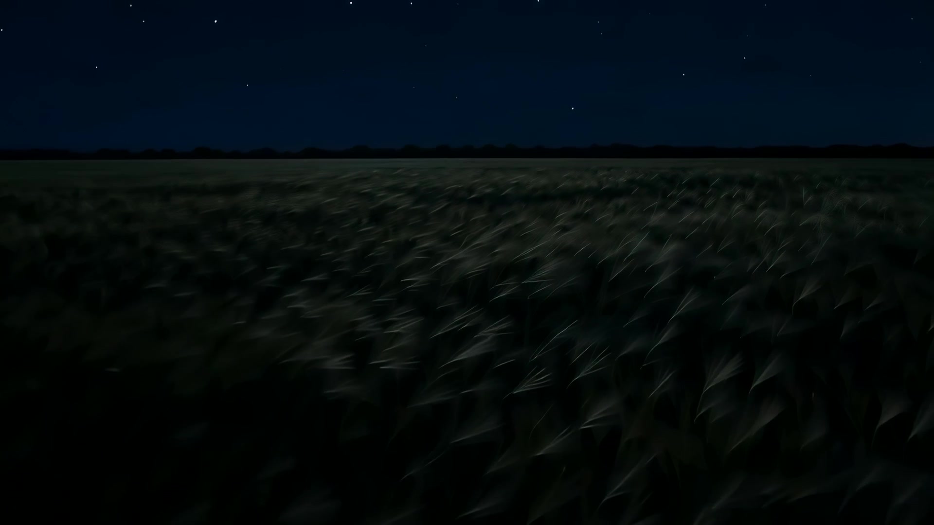 Wind moving through a wide meadow (night)