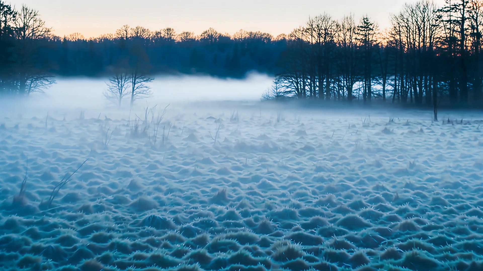 Mist lying over a meadow at dawn