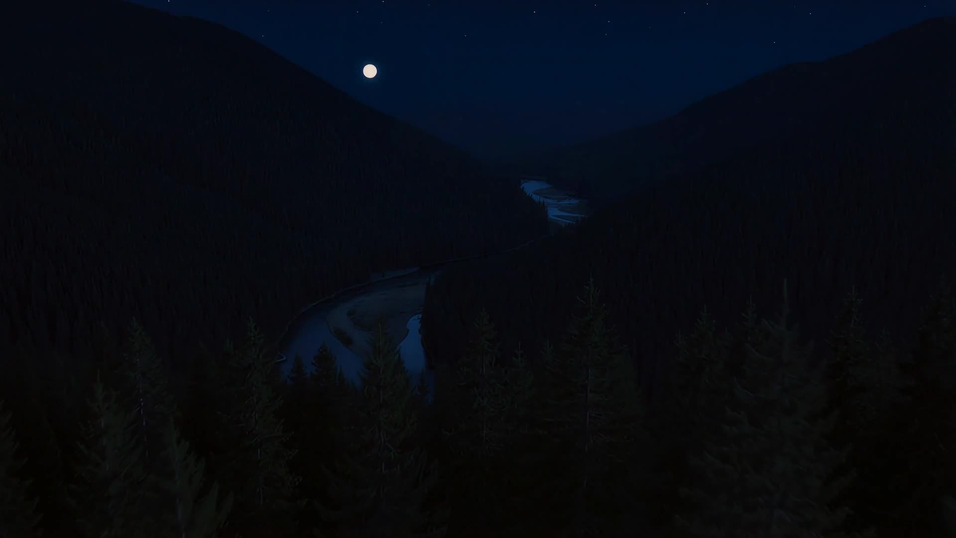 Aerial over pine forest valley (night)