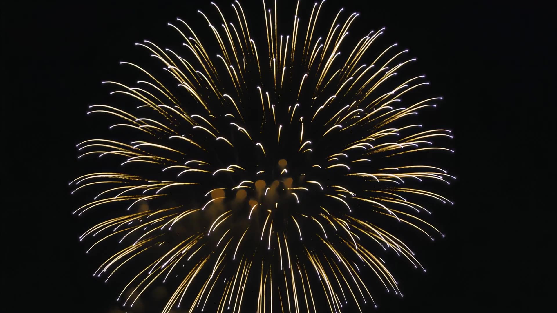 Gold willow firework
