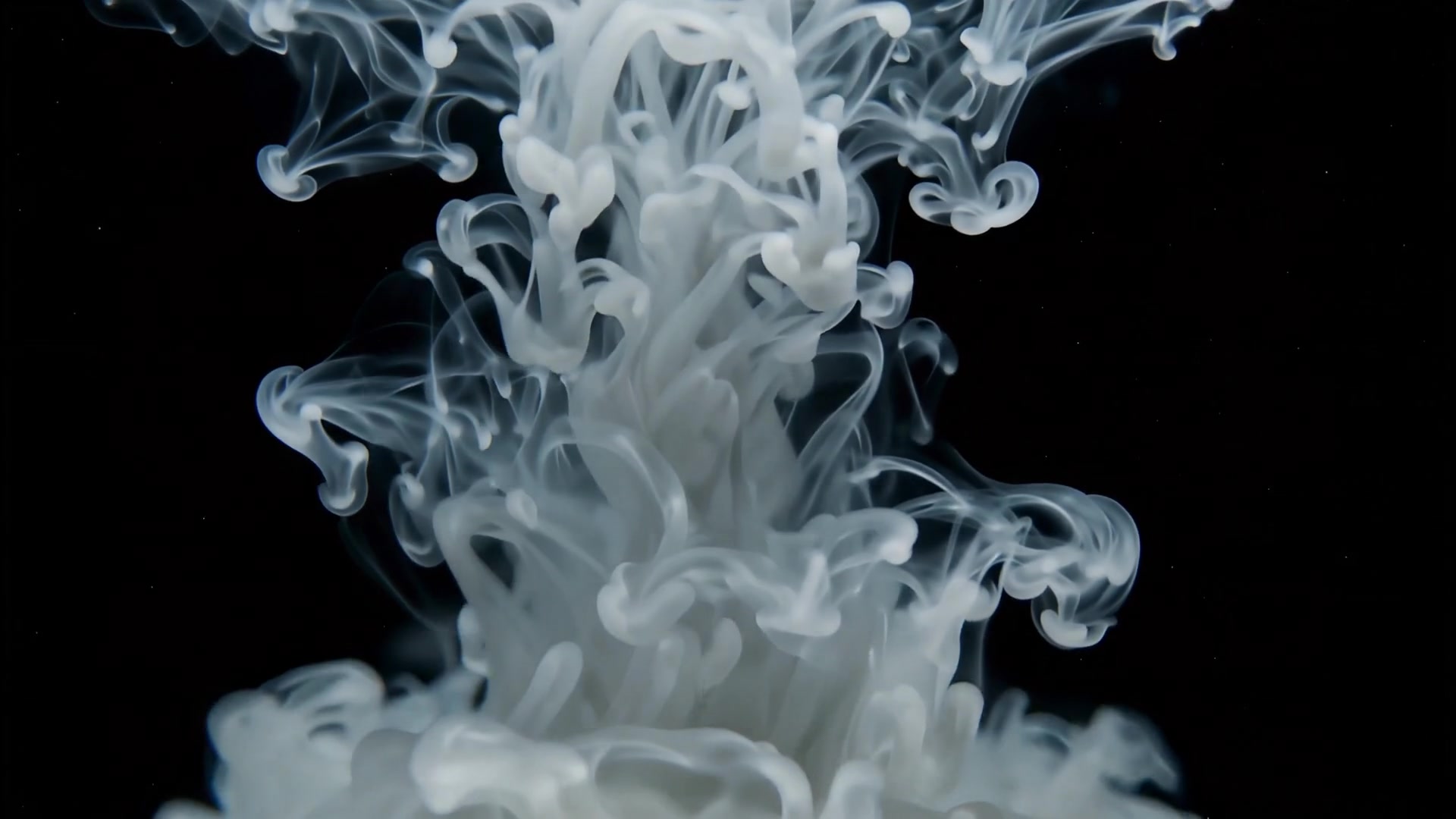White ink plume in black water