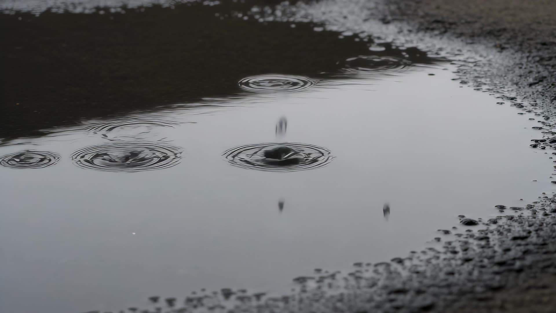 Raindrops rippling a street puddle