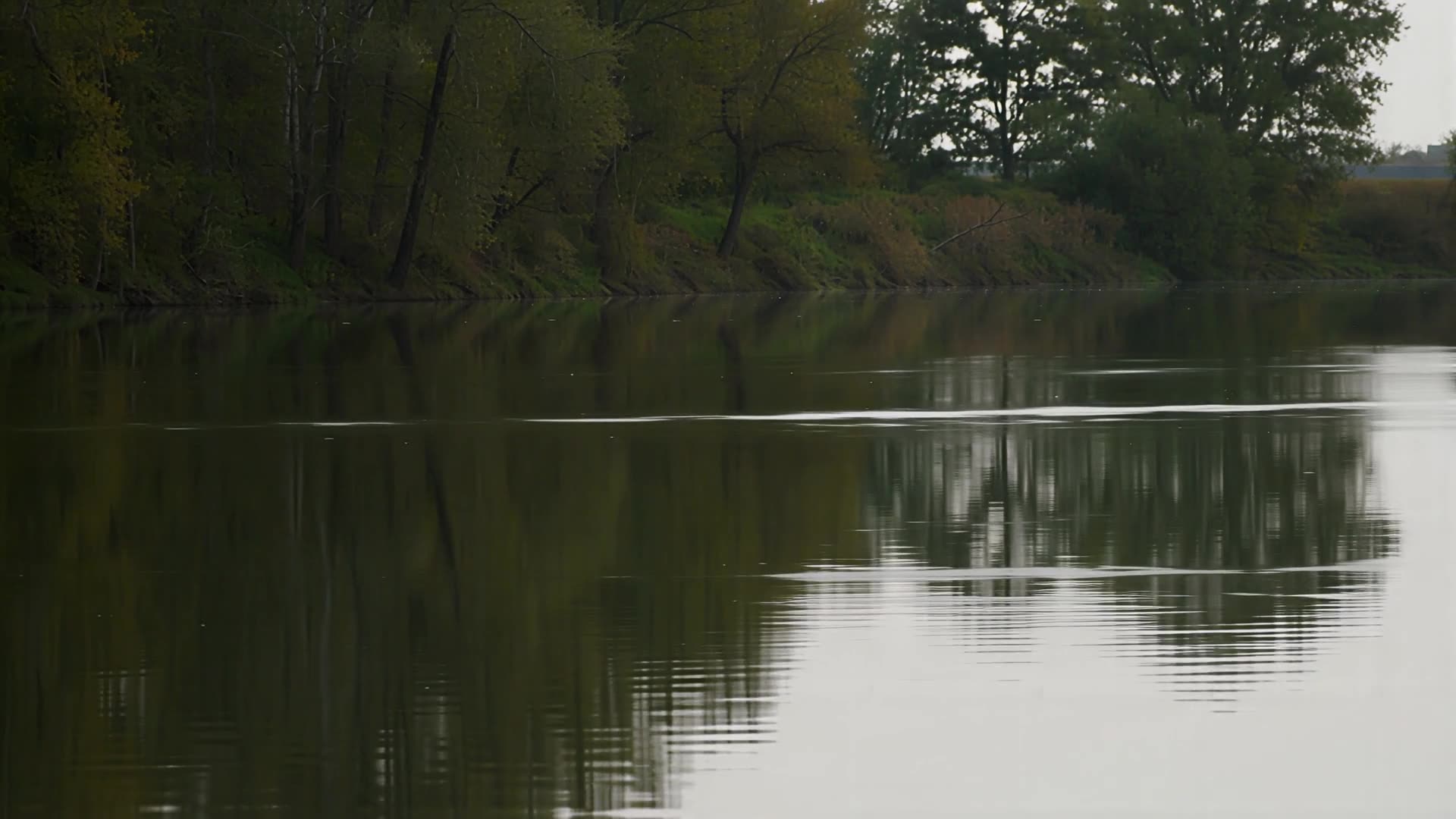 Still river reflecting the bank